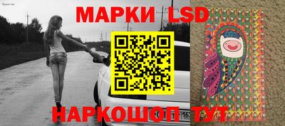 шишки Заволжье