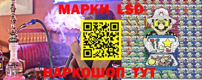 шишки Заволжье