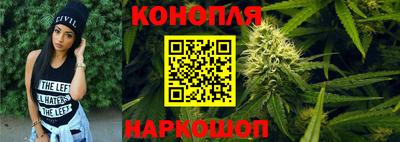 шишки Заволжье