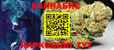 шишки Заволжье