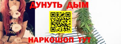 шишки Заволжье