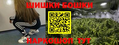 шишки Заволжье