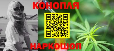 шишки Заволжье
